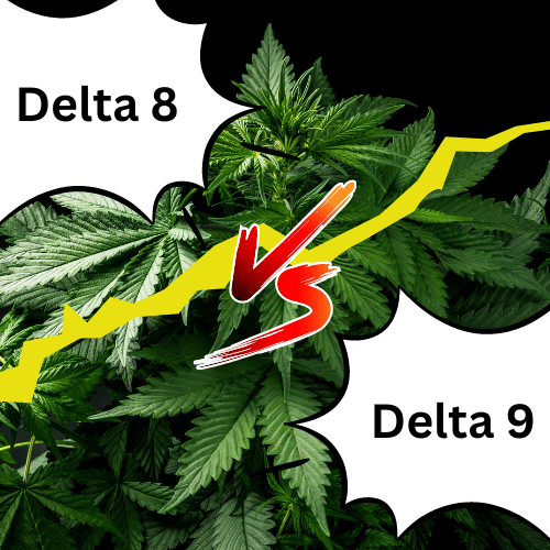 Delta 8 vs Delta 9 thc