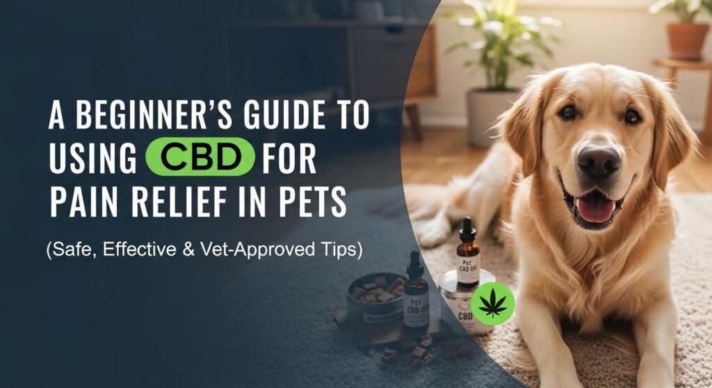 A Beginner’s Guide to Using CBD for Pain Relief in Pets (Safe, Effective & Vet-Approved Tips), pet cbd, pet health, pet care, cbd, thc, cannabis, cbd pet treats, cbd, cbd dog treats, organic, natural, pet health, cannabis for pet, dog cbd, cat cbd, pet treats