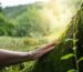all natural healing, natural healing products