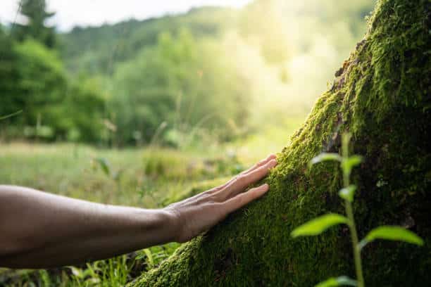 all natural healing, natural healing products