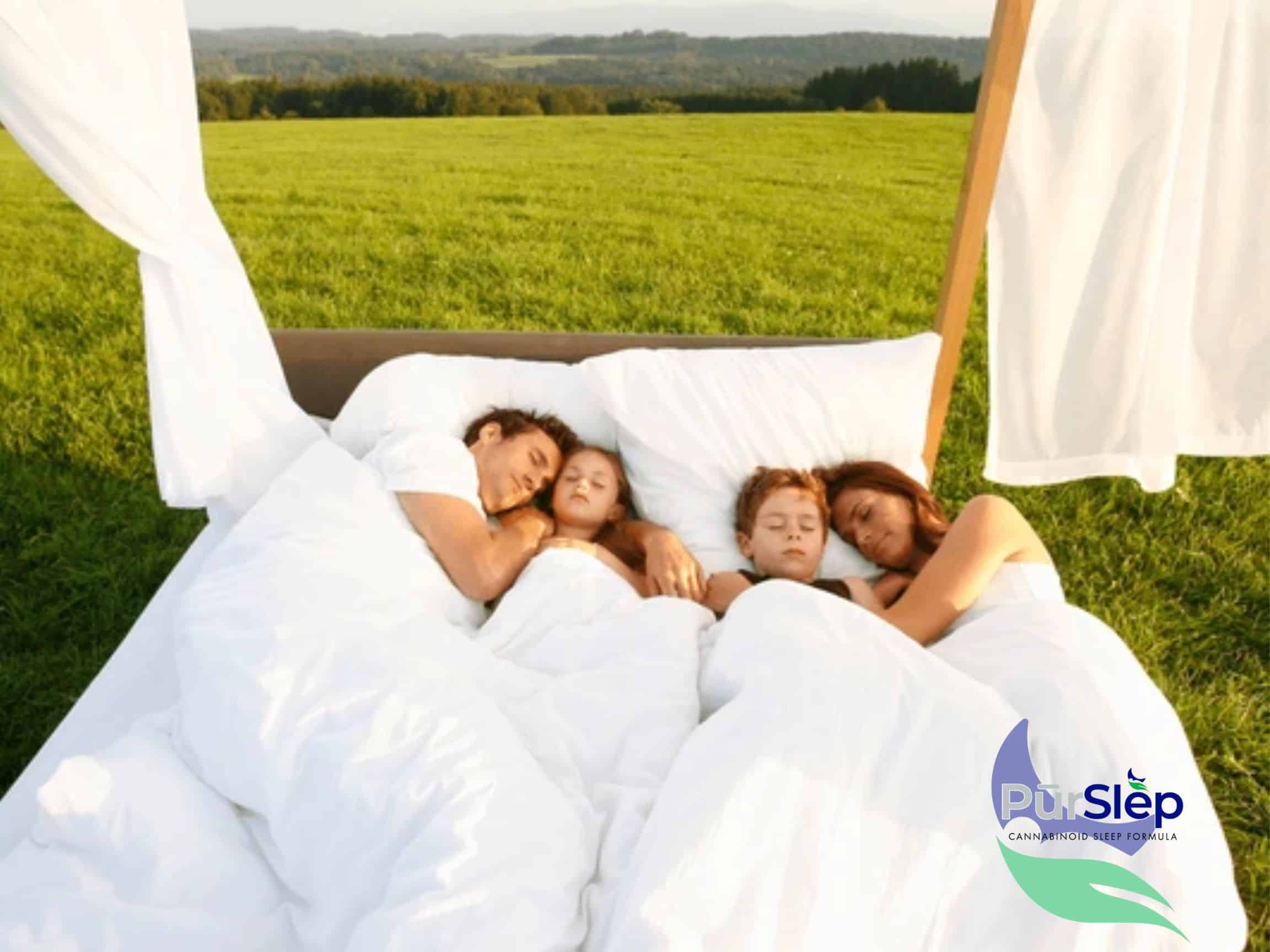 natural sleep, natural sleep aid